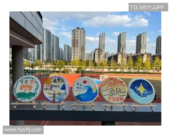 杭州飞盘队的转型之路与飞盘运动的未来发展探讨