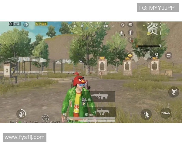 和平精英热议:BLG团队协作引发的争议与反思 和平精英热议:BLG团队协作引发的争议与反思