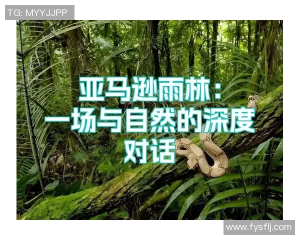 黄军的网球人生探索与深度对话：从热爱到职业的心路历程