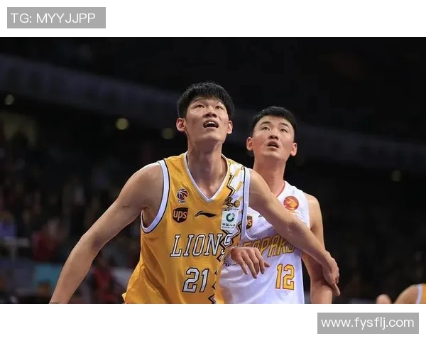 深圳排球队状态分析：聚焦球队表现与未来发展方向