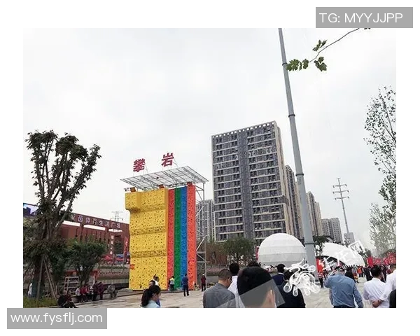 南京攀岩队区域防守分析与战术调整探讨